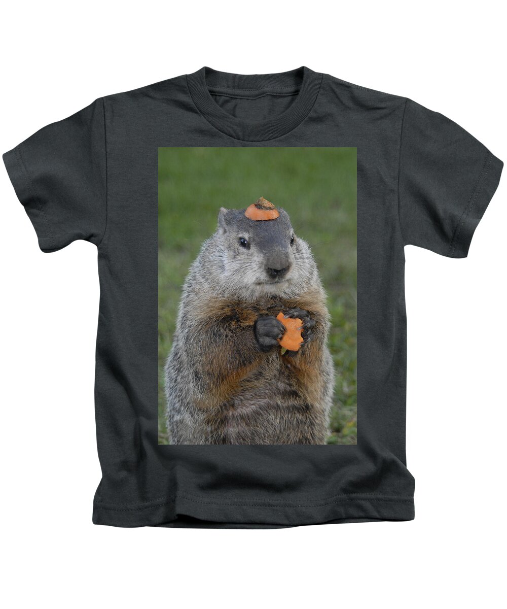 Groundhog Kids T-Shirt featuring the photograph And have YOU looked in the mirror lately by Paul W Faust - Impressions of Light