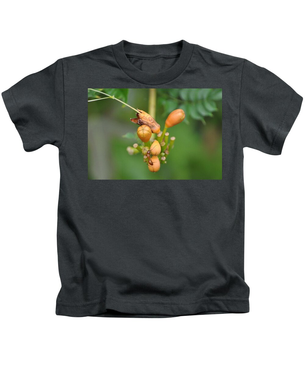 Ant Kids T-Shirt featuring the photograph Ant on Plant by Stacy Abbott