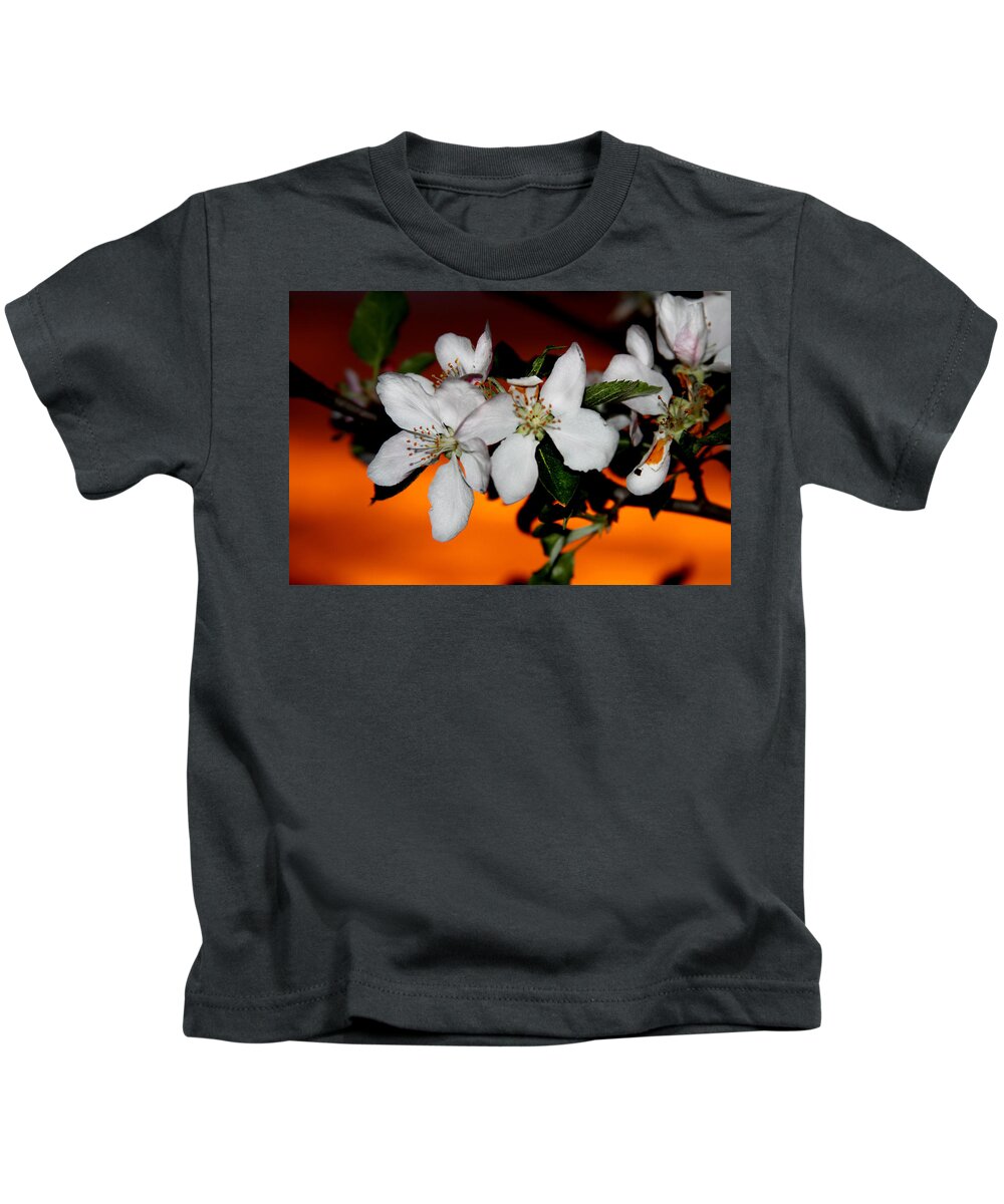 Apple Blossom Kids T-Shirt featuring the photograph Apple Blossom Sunrise I by David Yocum