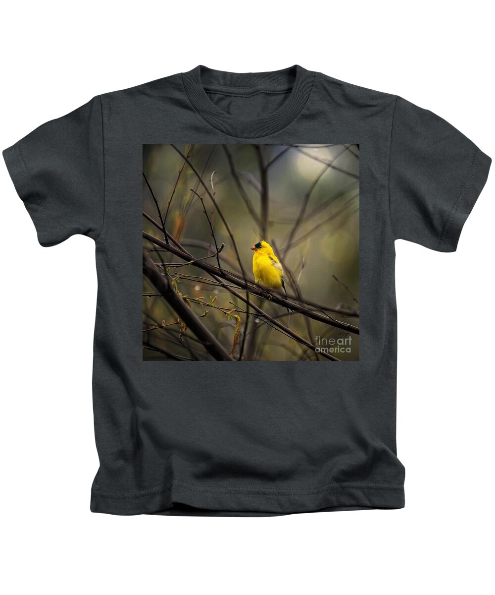 Bird Kids T-Shirt featuring the photograph April Showers in Square Format by Lois Bryan