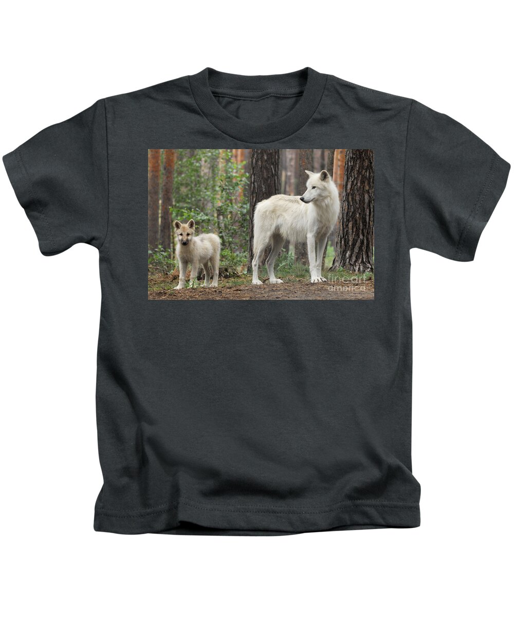 Arctic Wolf Kids T-Shirt featuring the photograph Arctic Wolf With Pup, Canis Lupus Albus by Stefan Meyers