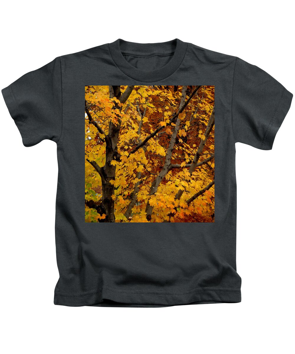 Fall Kids T-Shirt featuring the photograph Autumn Moods 21 by Rodney Lee Williams