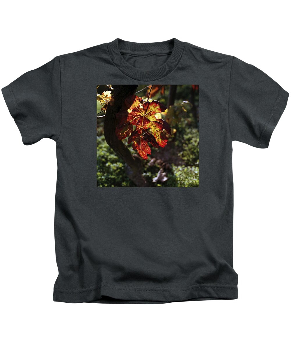 Leaf Kids T-Shirt featuring the photograph Autumnal Grapevine by Riccardo Mottola