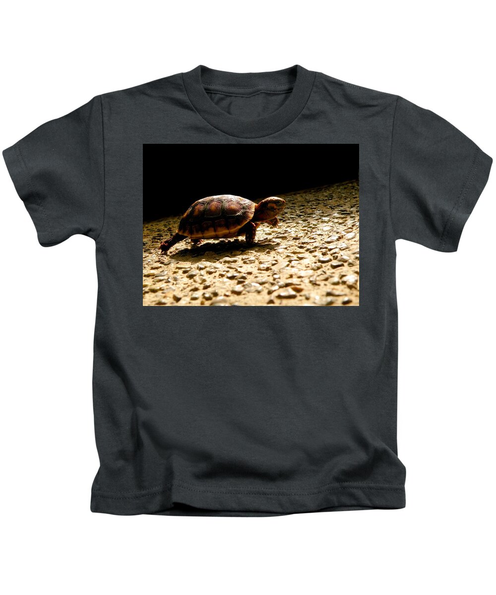 Turtle Kids T-Shirt featuring the photograph Baby Steps by Micki Findlay