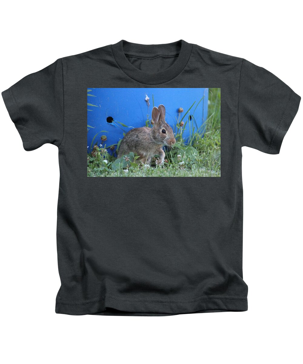 Rabbit Kids T-Shirt featuring the photograph Backyard Bunny by Terry Lewey