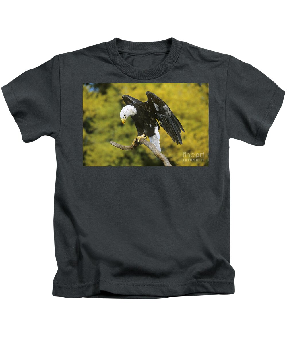 North America Wildlife Kids T-Shirt featuring the photograph Bald Eagle in Perch Wildlife Rescue by Dave Welling