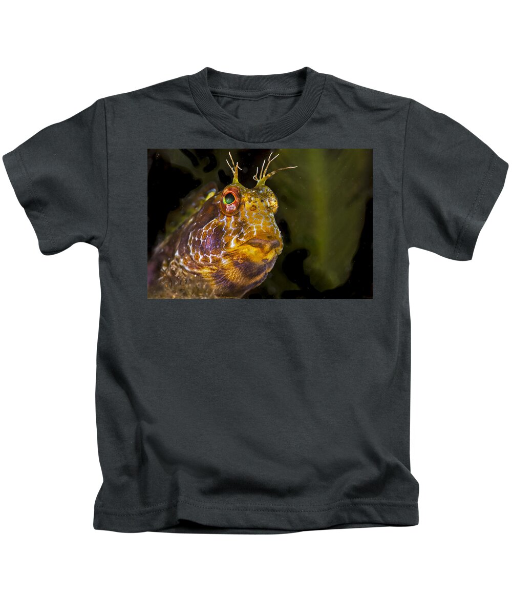 Blenny Kids T-Shirt featuring the photograph Blenny In Deep Thought by Sandra Edwards