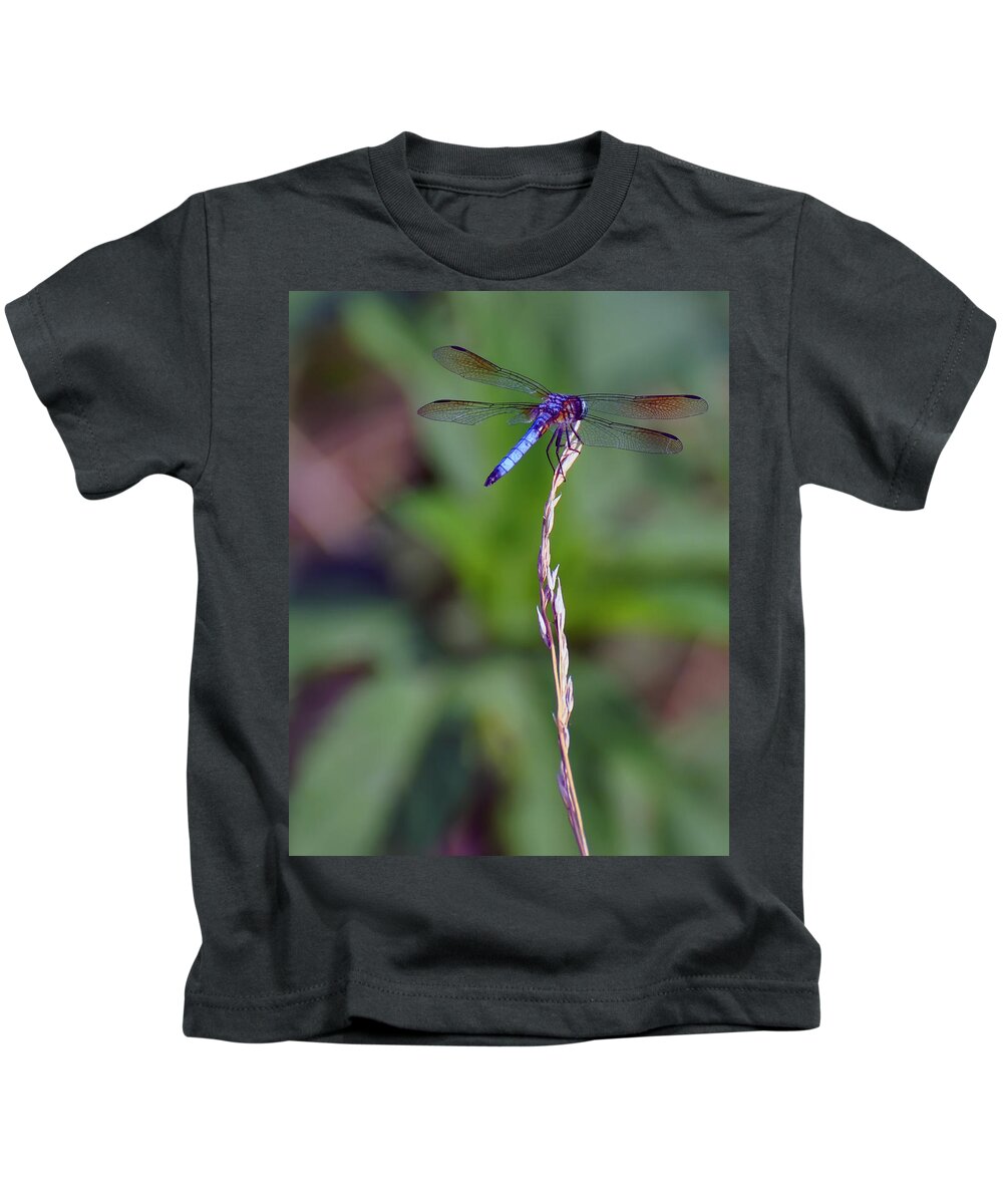 Dragonfly Kids T-Shirt featuring the photograph Blue Dragonfly On A Blade Of Grass by Flees Photos