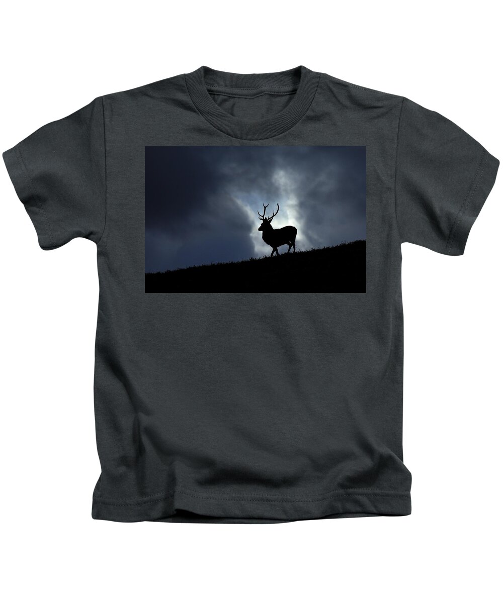Stag Kids T-Shirt featuring the photograph Blue horizon by Gavin Macrae
