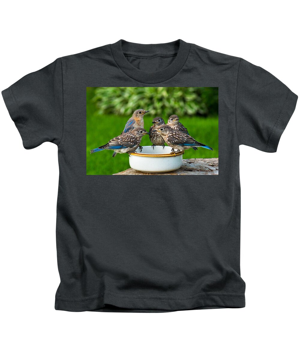 Eastern Bluebird Kids T-Shirt featuring the photograph Bluebird Family Brunch by Bill Pevlor