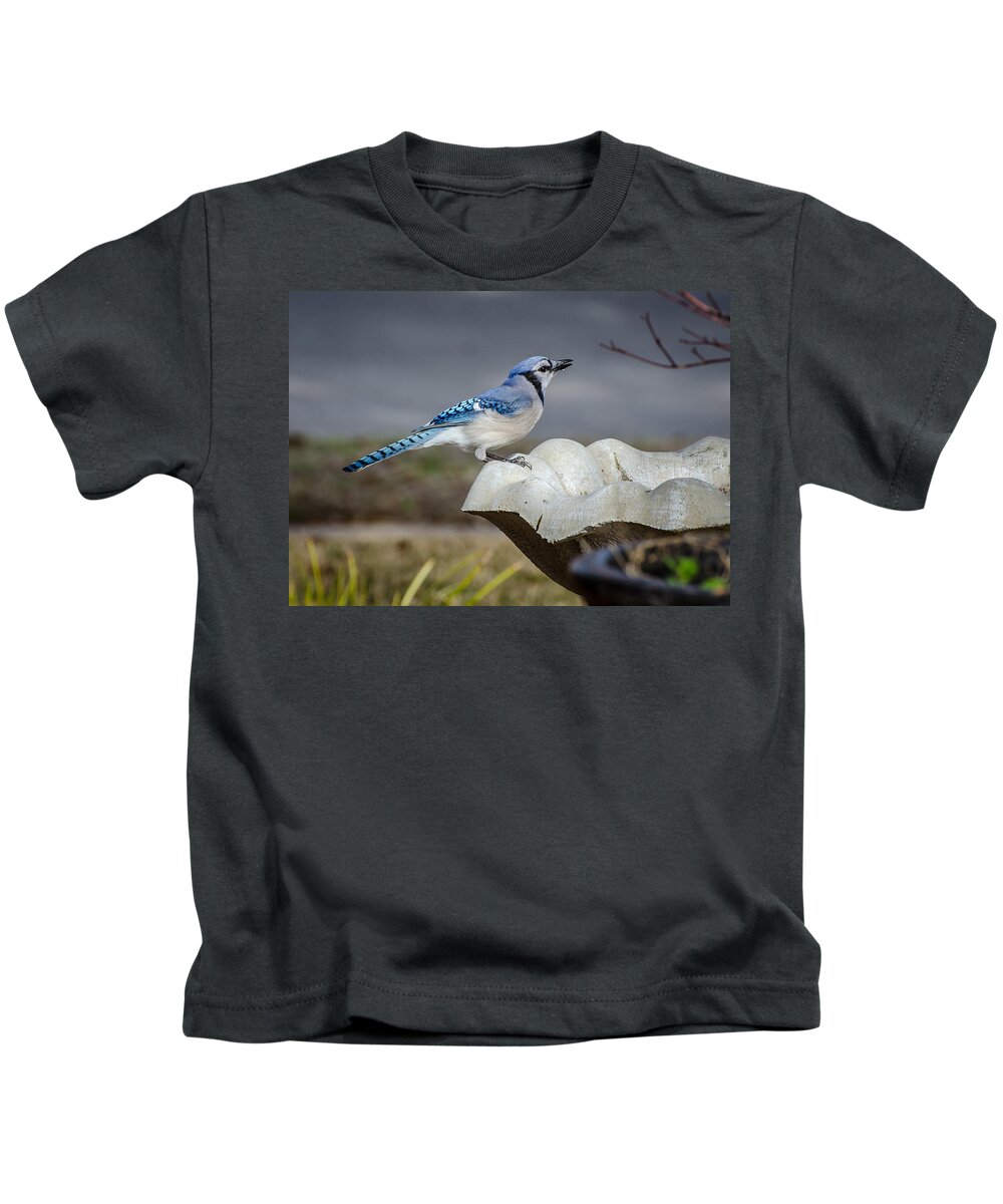 Blue Jay Kids T-Shirt featuring the photograph Bluejay by David Downs