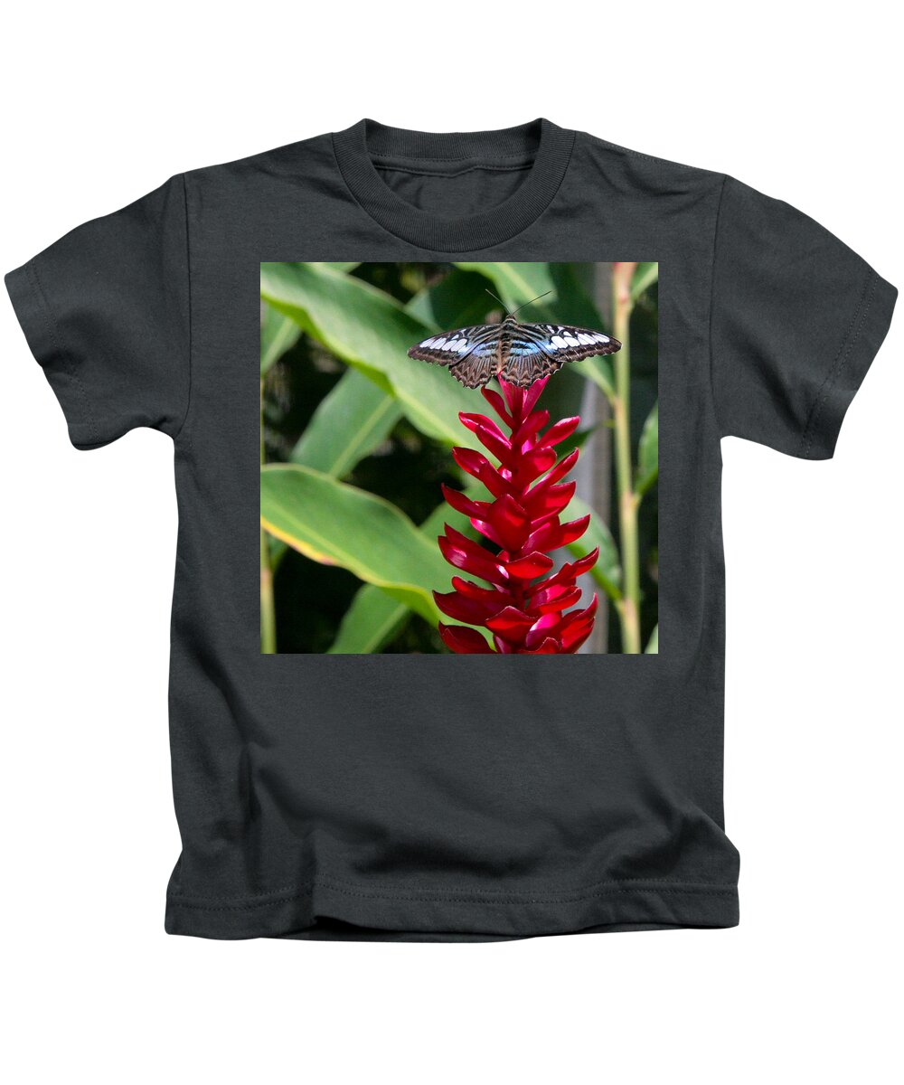 Butterfly Kids T-Shirt featuring the photograph Brilliant Butterfly by Natalie Rotman Cote