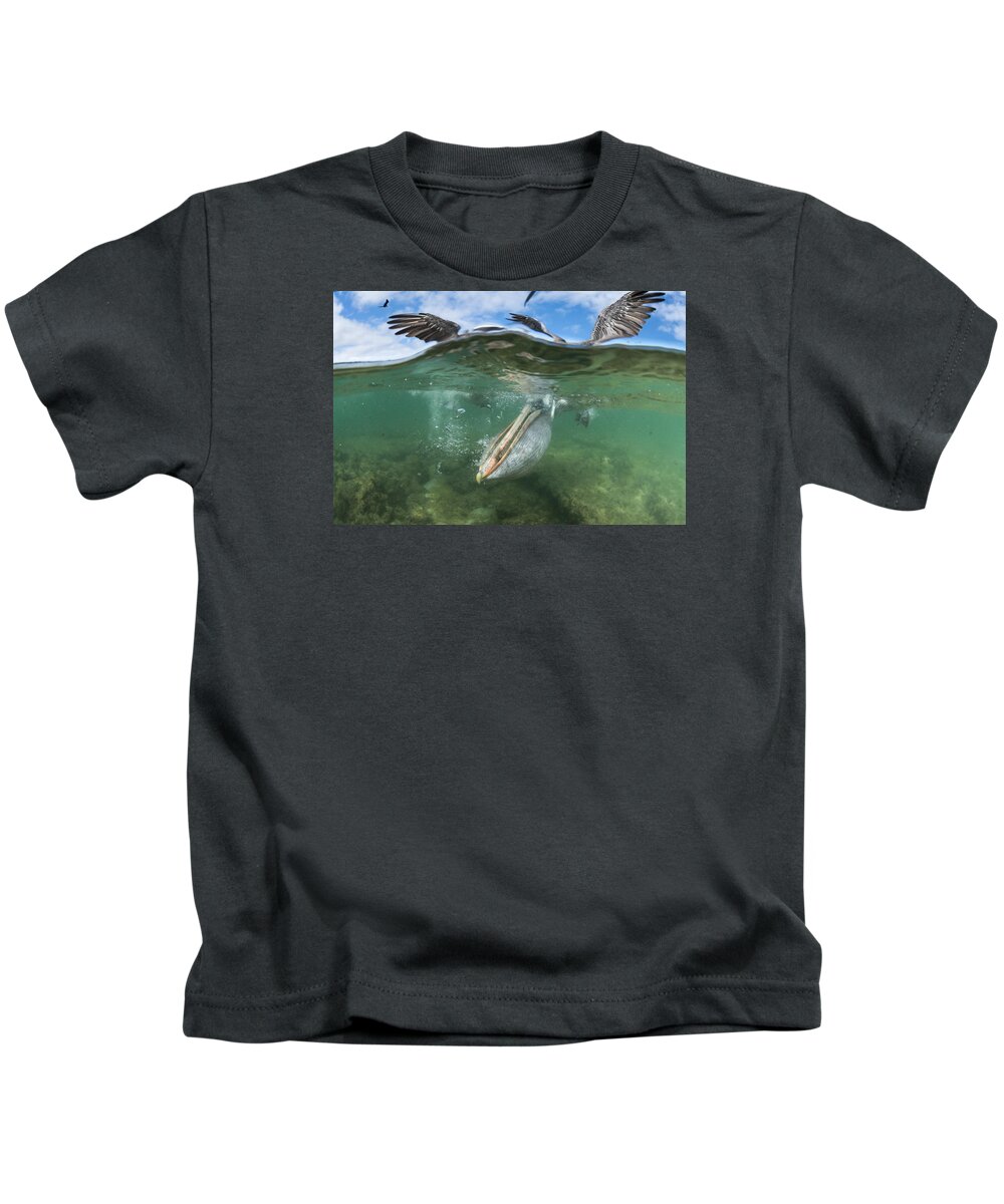 534057 Kids T-Shirt featuring the photograph Brown Pelican Fishing Borrero Bay by Tui De Roy