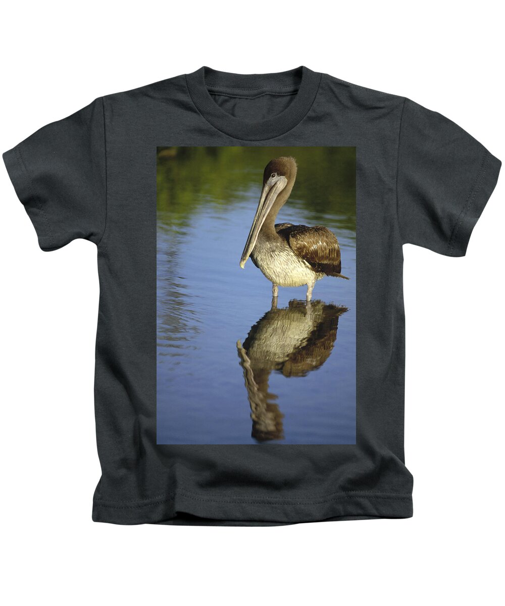 Feb0514 Kids T-Shirt featuring the photograph Brown Pelican Juvenile Academy Bay by Tui De Roy