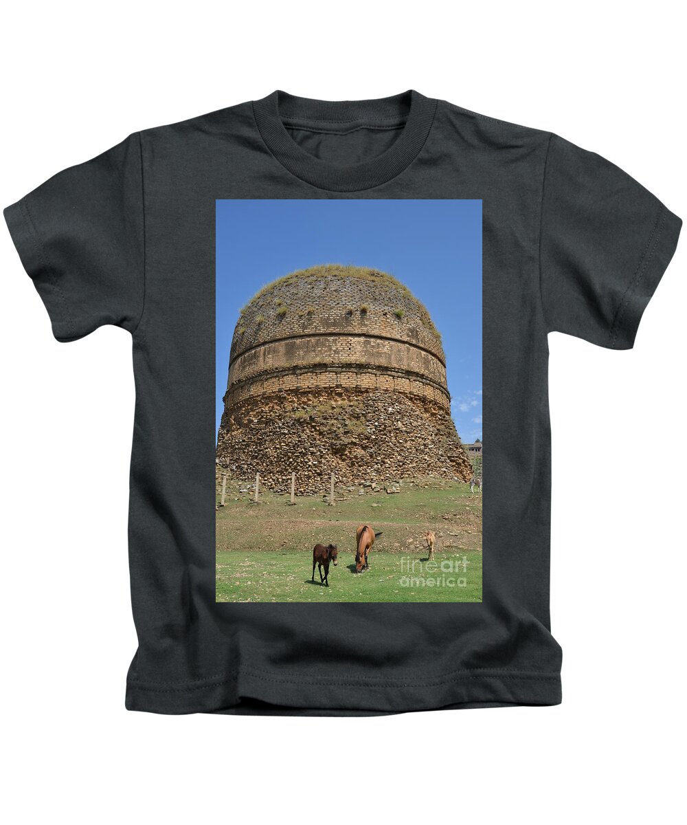 Zen Kids T-Shirt featuring the photograph Buddhist religious stupa horse and mules Swat Valley Pakistan by Imran Ahmed