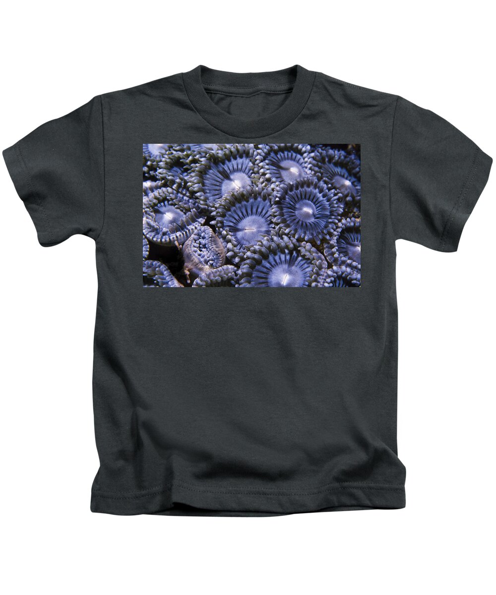 Art Kids T-Shirt featuring the photograph Bunch of Flowers by Sandra Edwards