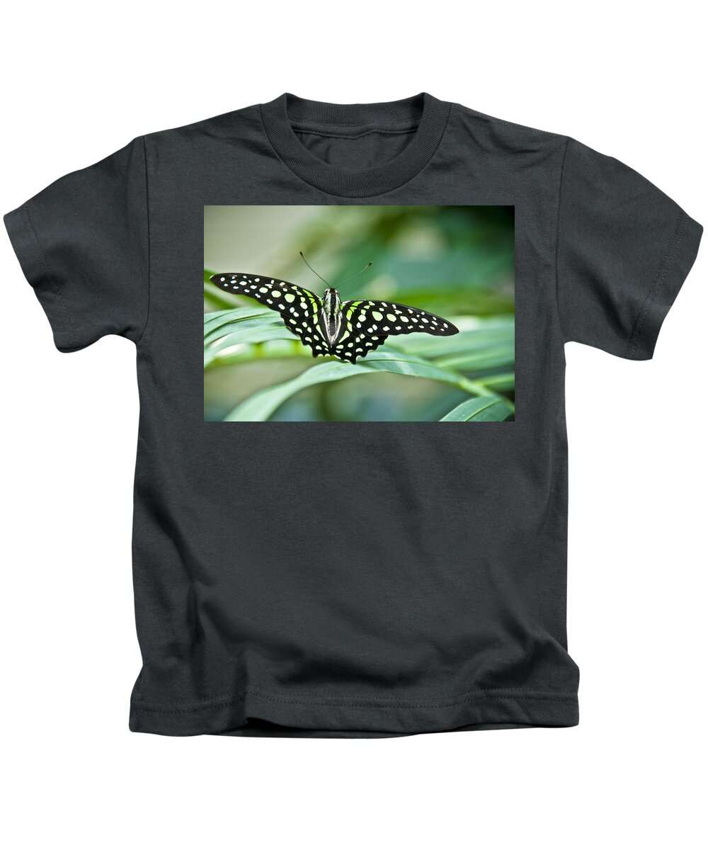 Butterfly Kids T-Shirt featuring the photograph Butterfly Resting Color by Ron White