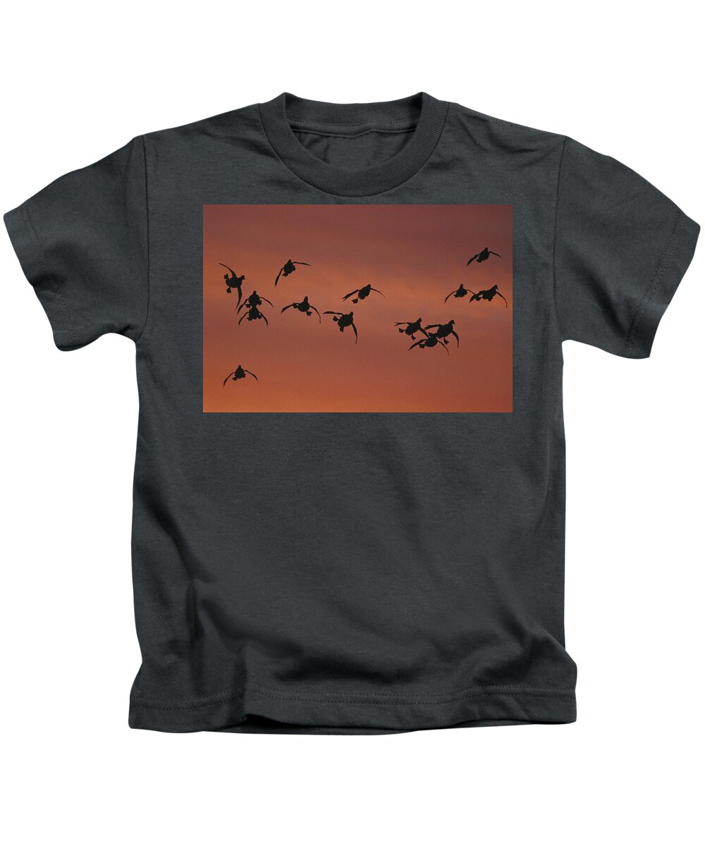 Feb0514 Kids T-Shirt featuring the photograph Canvasbacks Landing At Sunrise by Tom Vezo