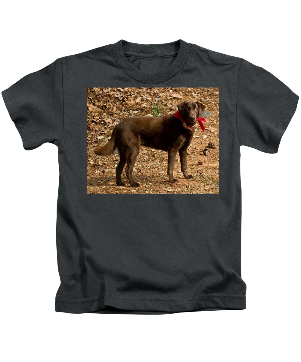 Cocoa Kids T-Shirt featuring the photograph Chocolate Lab by Robert L Jackson