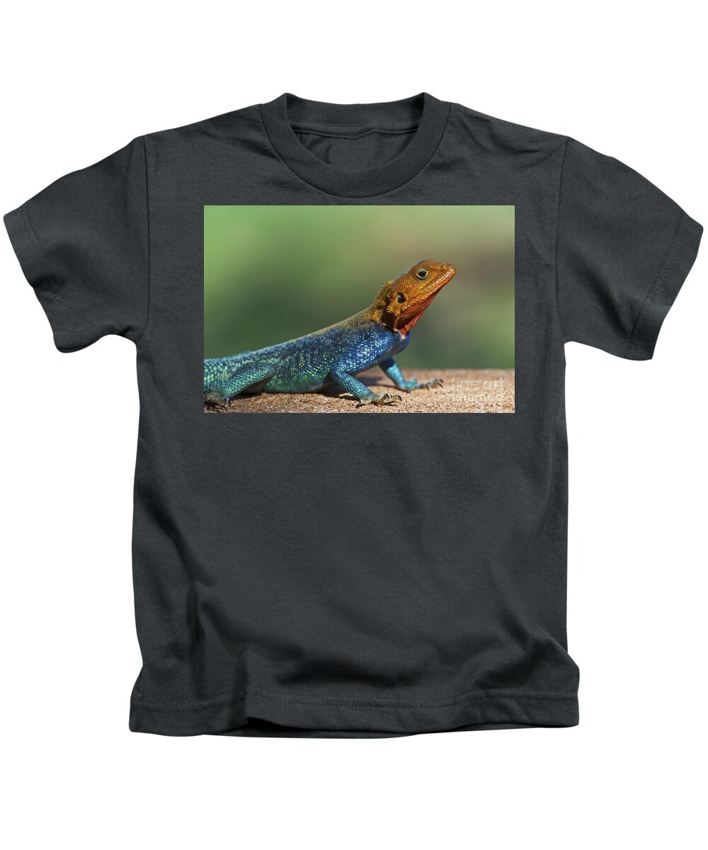 Festblues Kids T-Shirt featuring the photograph Colorful Awesomeness... by Nina Stavlund