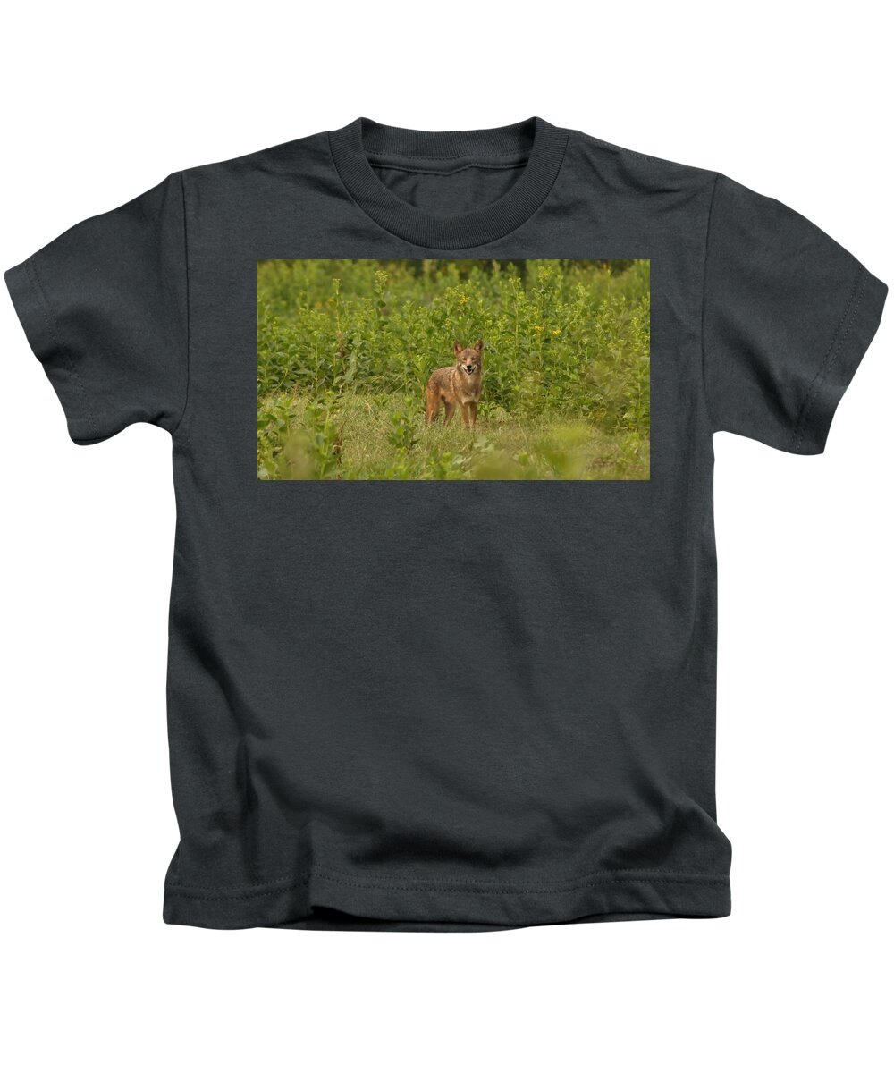 Wild Kids T-Shirt featuring the photograph Coyote Happy by Eric Liller