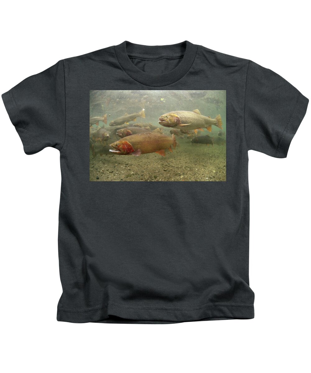 Feb0514 Kids T-Shirt featuring the photograph Cutthroat Trout In The Spring Idaho by Michael Quinton