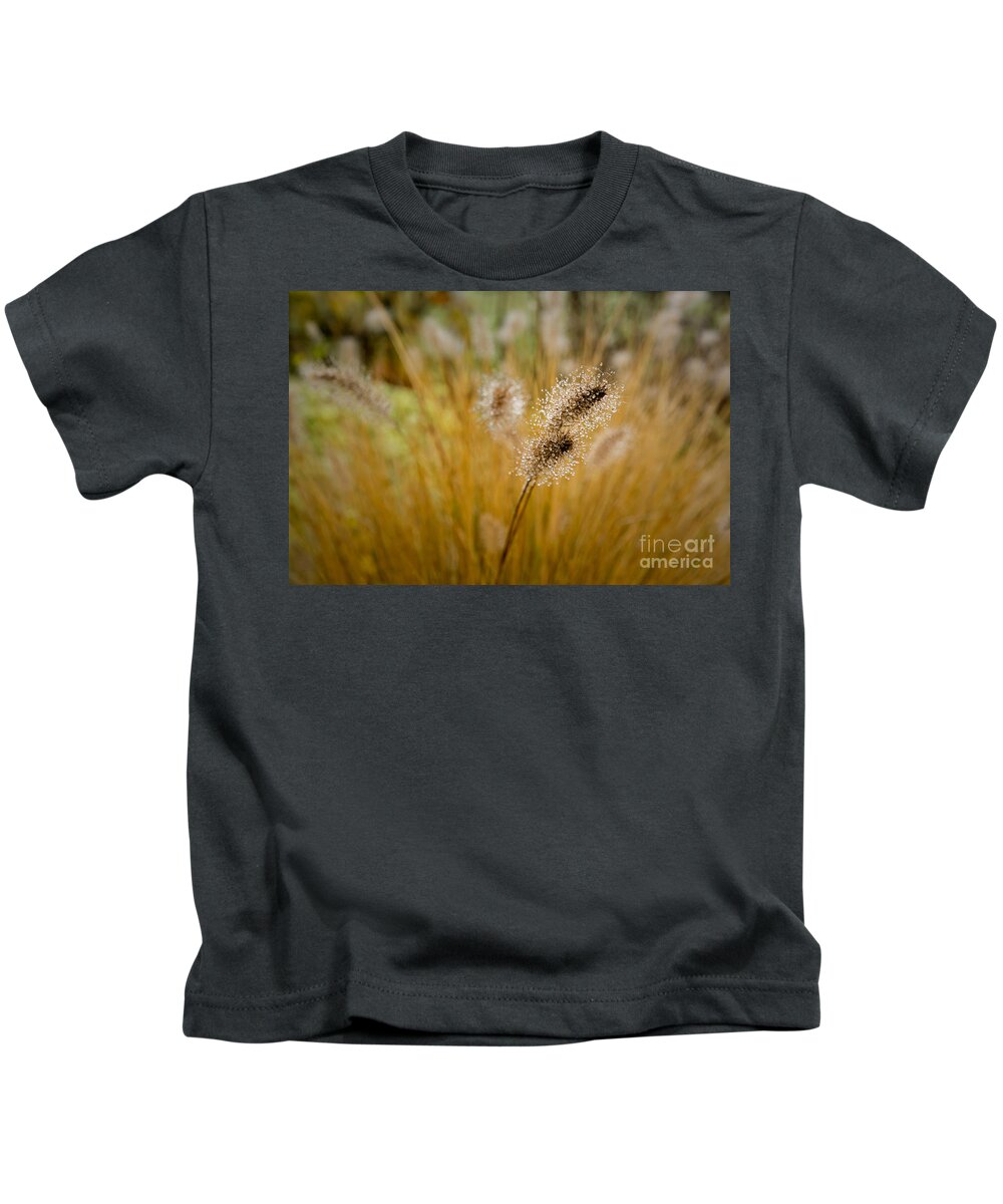 Dew Kids T-Shirt featuring the photograph Dew on Ornamental Grass No. 4 by Belinda Greb