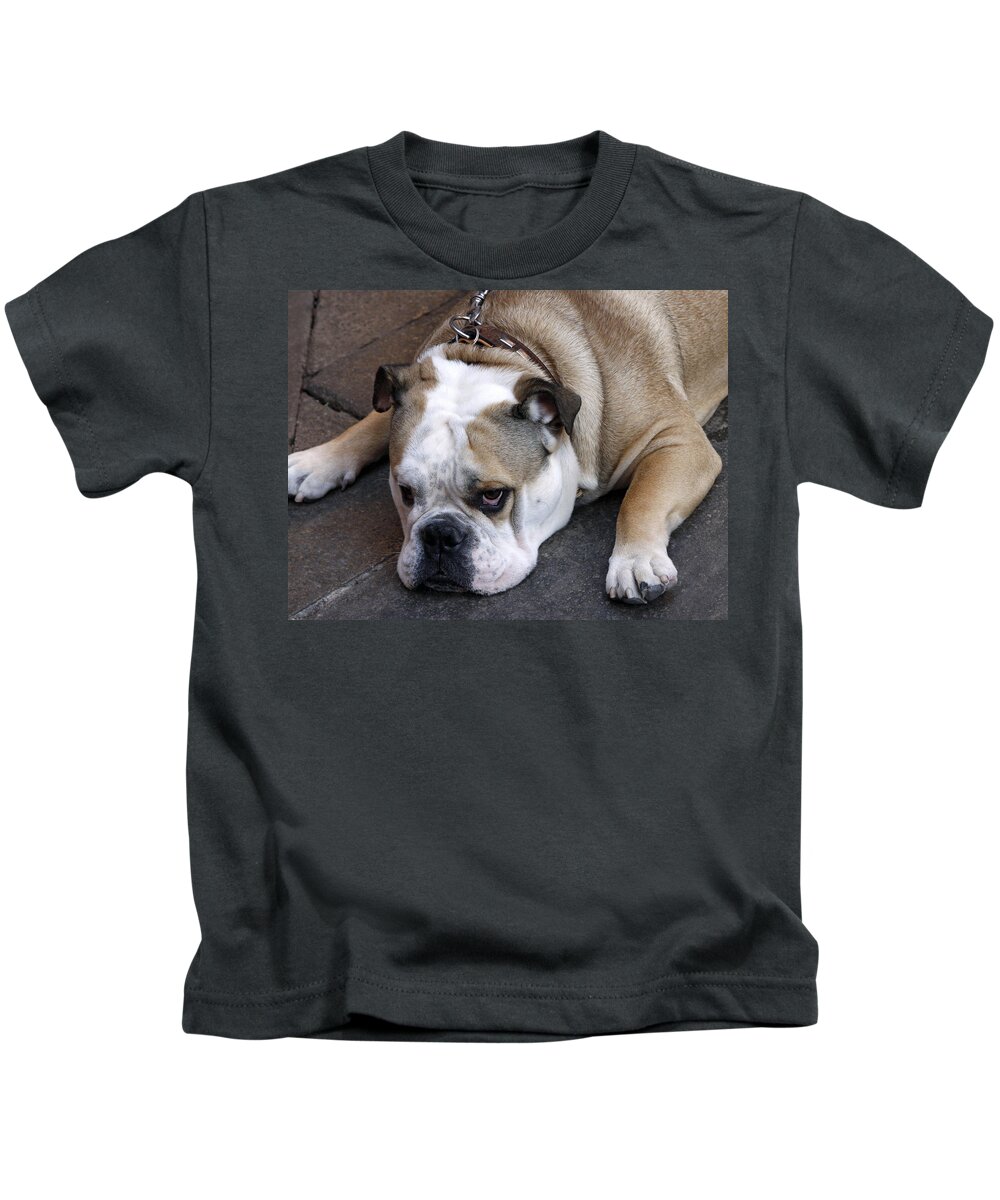Dog Kids T-Shirt featuring the photograph Dog. Tired. by Rick Locke - Out of the Corner of My Eye