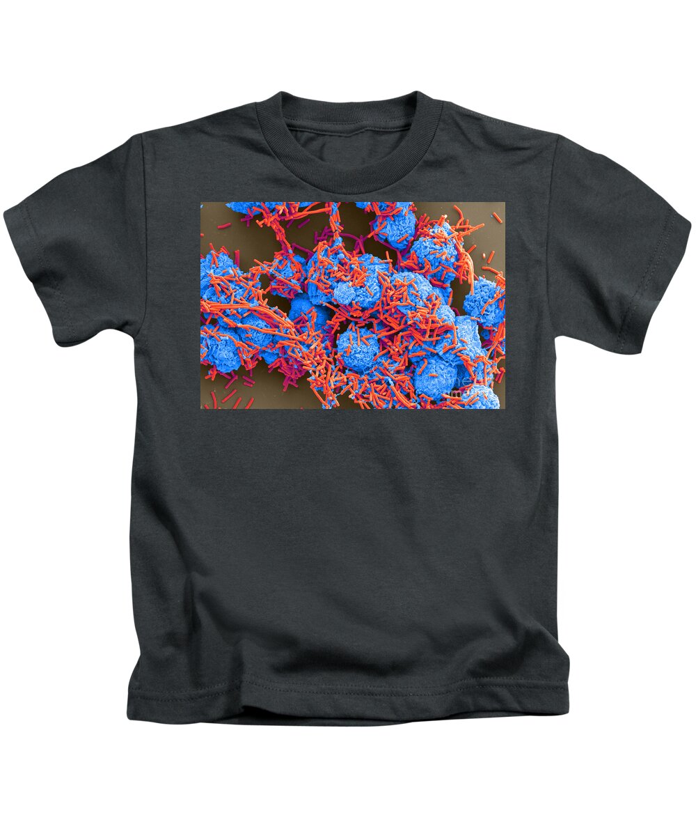 Science Kids T-Shirt featuring the photograph E Coli And Macrophages Sem by Science Source