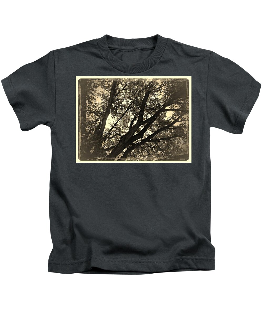 Trees Kids T-Shirt featuring the photograph Early Light by Frank J Casella