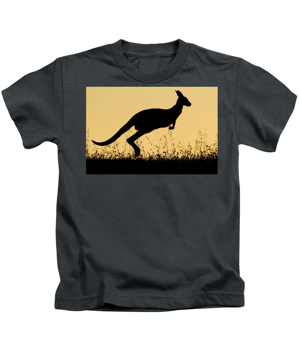 Sebastian Kennerknecht Kids T-Shirt featuring the photograph Eastern Grey Kangaroo Hopping At Sunset by Sebastian Kennerknecht