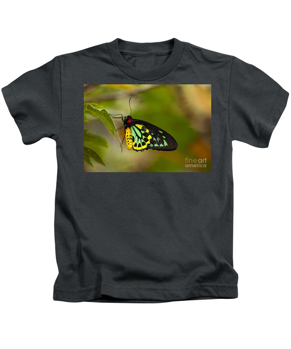 Cairns Birdwing Kids T-Shirt featuring the photograph Emerald Beauty by Michael Dawson
