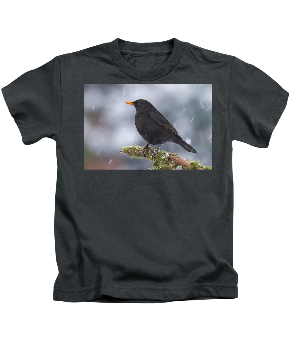 Nis Kids T-Shirt featuring the photograph Eurasian Blackbird And Snowfall Germany by Helge Schulz