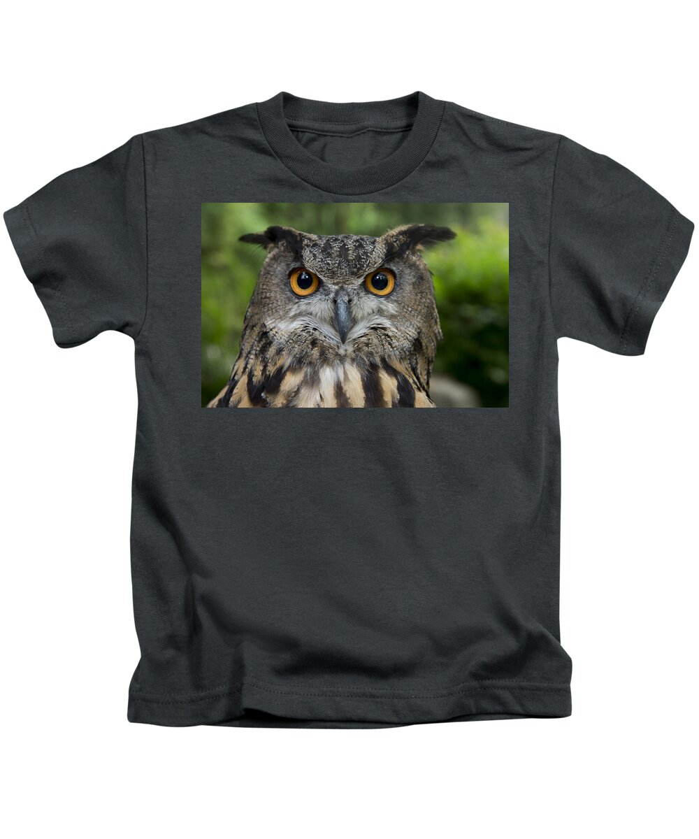 San Diego Zoo Kids T-Shirt featuring the photograph Eurasian Eagle-owl by San Diego Zoo