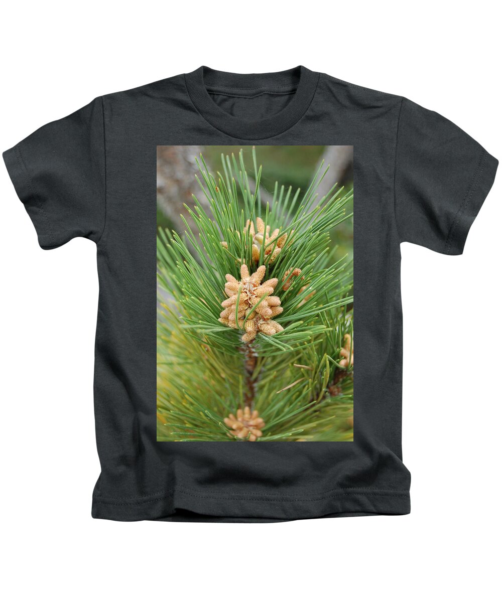 Linda Brody Kids T-Shirt featuring the photograph Evergreen by Linda Brody