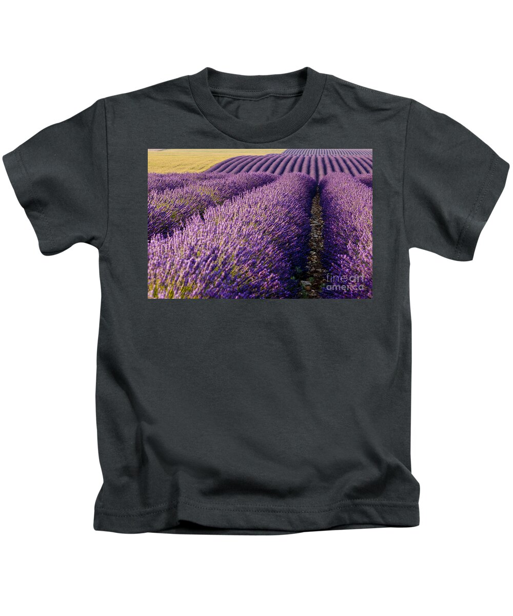 Lavender Kids T-Shirt featuring the photograph Fields of Lavender by Brian Jannsen