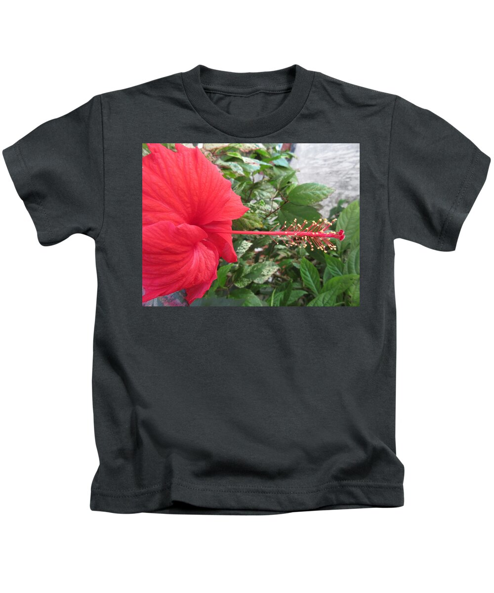 Hisbicus Kids T-Shirt featuring the photograph Fire and Ice Hibiscus by Ashley Goforth