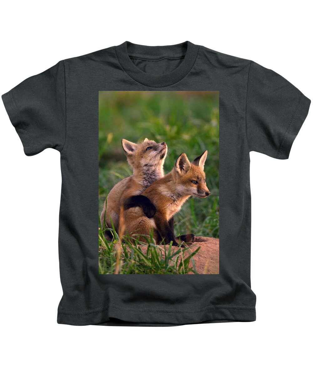 Fox Kids T-Shirt featuring the photograph Fox Cub Buddies by William Jobes