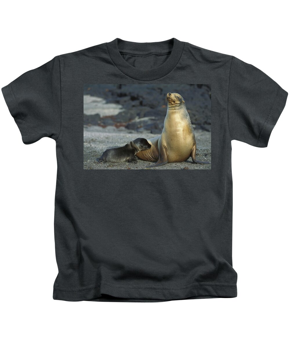 Feb0514 Kids T-Shirt featuring the photograph Galapagos Sea Lion Nursing Newborn by Tui De Roy