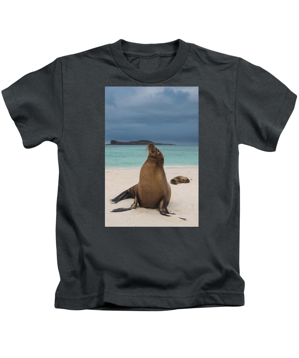 Pete Oxford Kids T-Shirt featuring the photograph Galapagos Sea Lions Gardner Bay by Pete Oxford