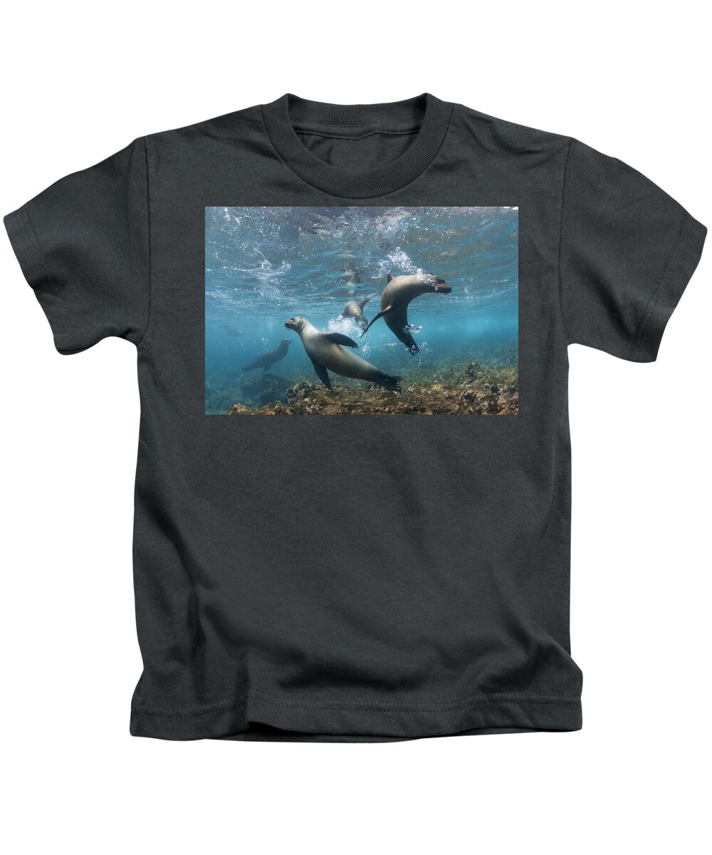 536779 Kids T-Shirt featuring the photograph Galapagos Sealions Floreana Isl Ecuador by Tui De Roy