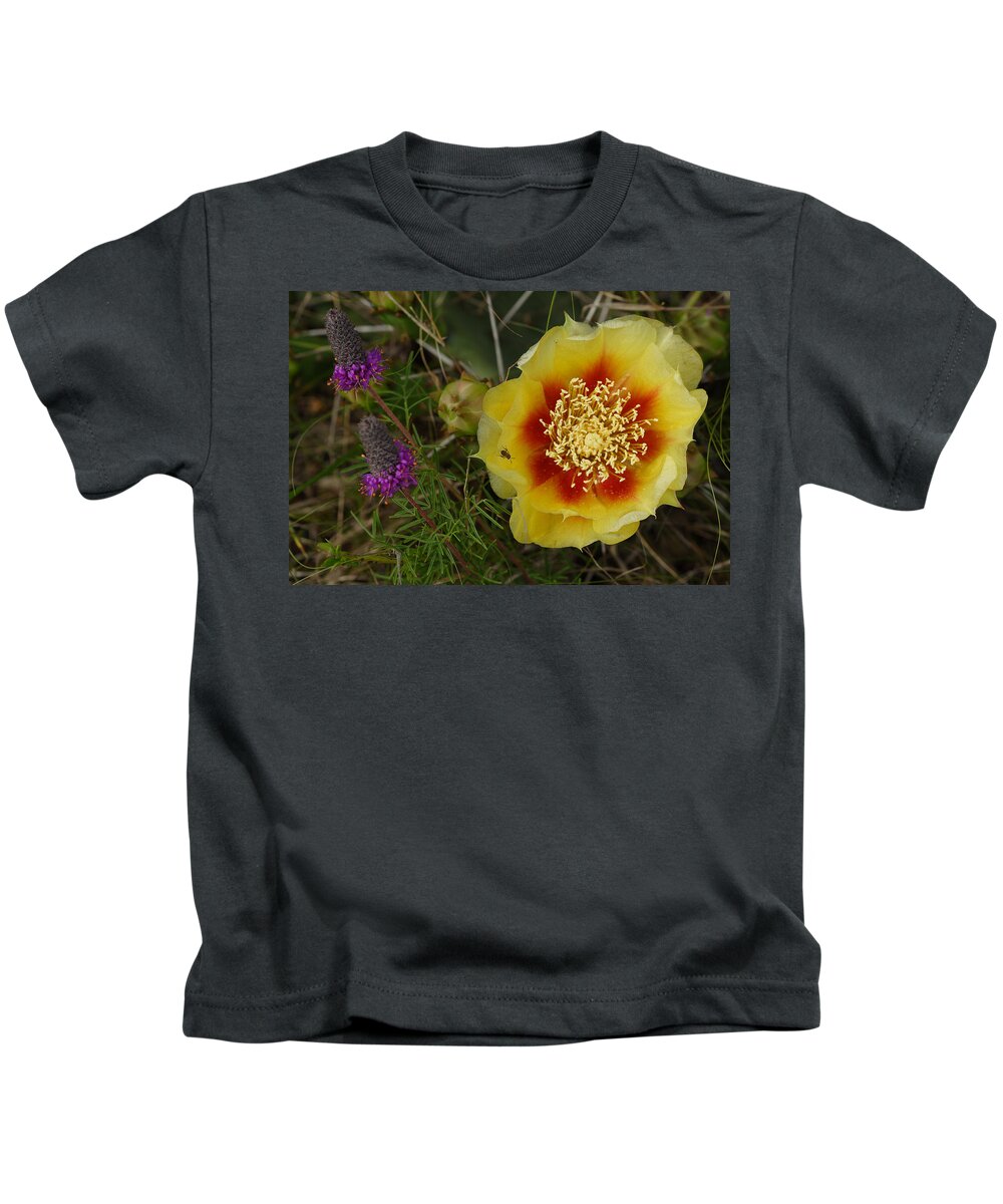 Gattinger's Prairie Clover And Prickly Pear Flower Kids T-Shirt featuring the photograph Gattinger's Prairie Clover And Prickly Pear Flower by Daniel Reed
