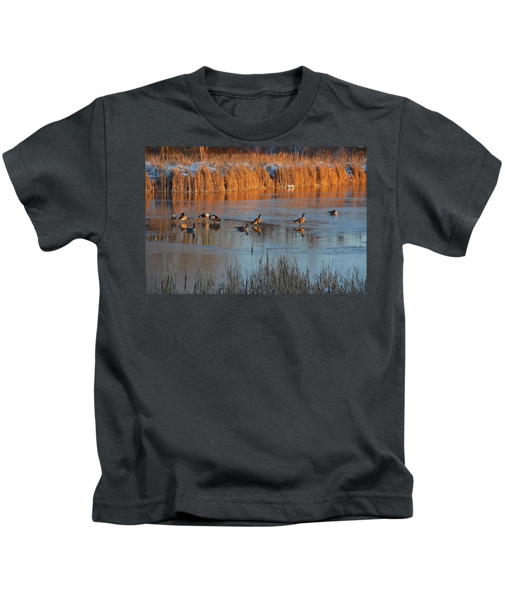 Geese Kids T-Shirt featuring the photograph Geese in Wetlands by Tana Reiff