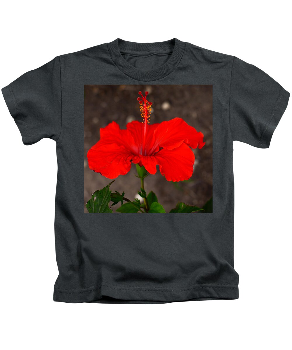 Glowing Kids T-Shirt featuring the photograph Glowing Red Hibiscus by Debra Martz
