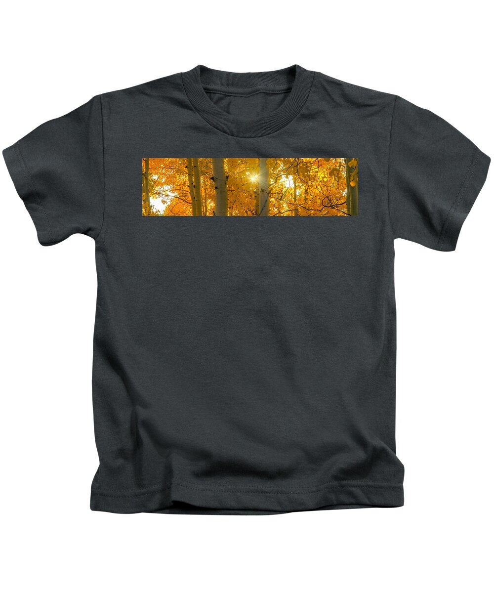 Colorado Kids T-Shirt featuring the photograph Gold Rush by Kevin Dietrich