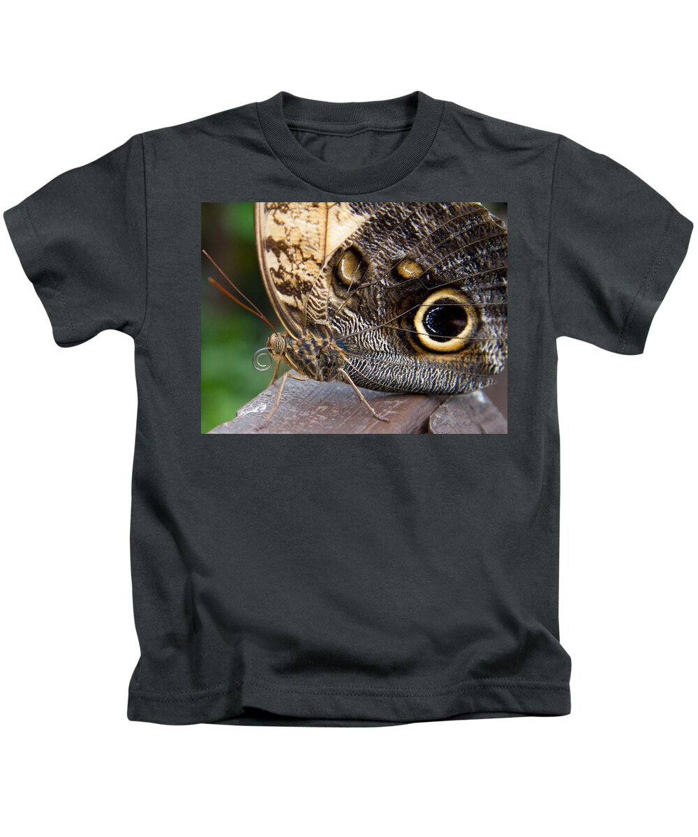 Butterfly Kids T-Shirt featuring the photograph Golden Butterfly by Natalie Rotman Cote