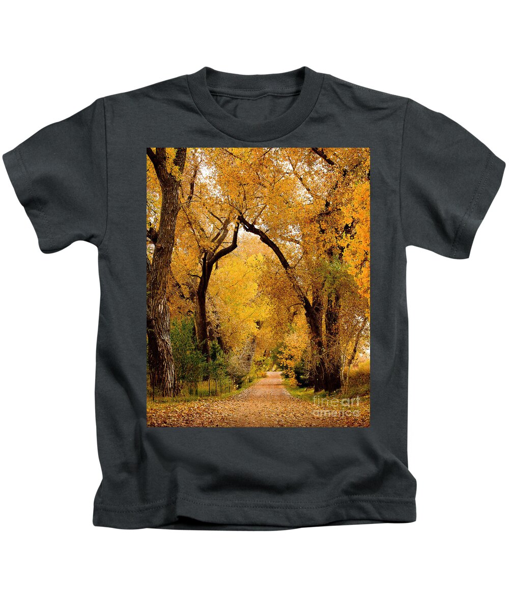 Landscape Kids T-Shirt featuring the photograph Golden Roads by Steven Reed