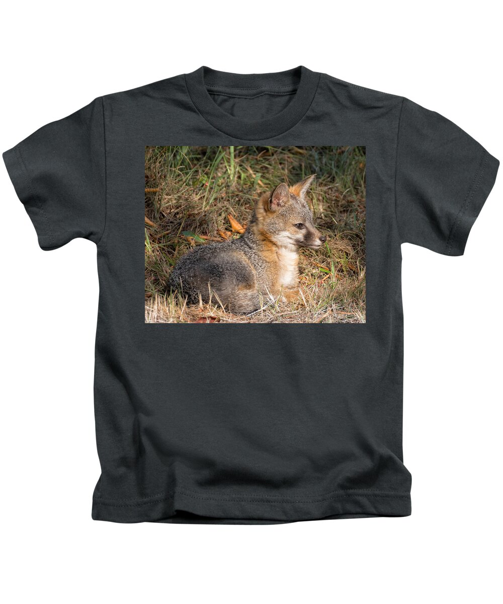 Foxes Kids T-Shirt featuring the photograph Gray Fox Kit by Kathleen Bishop