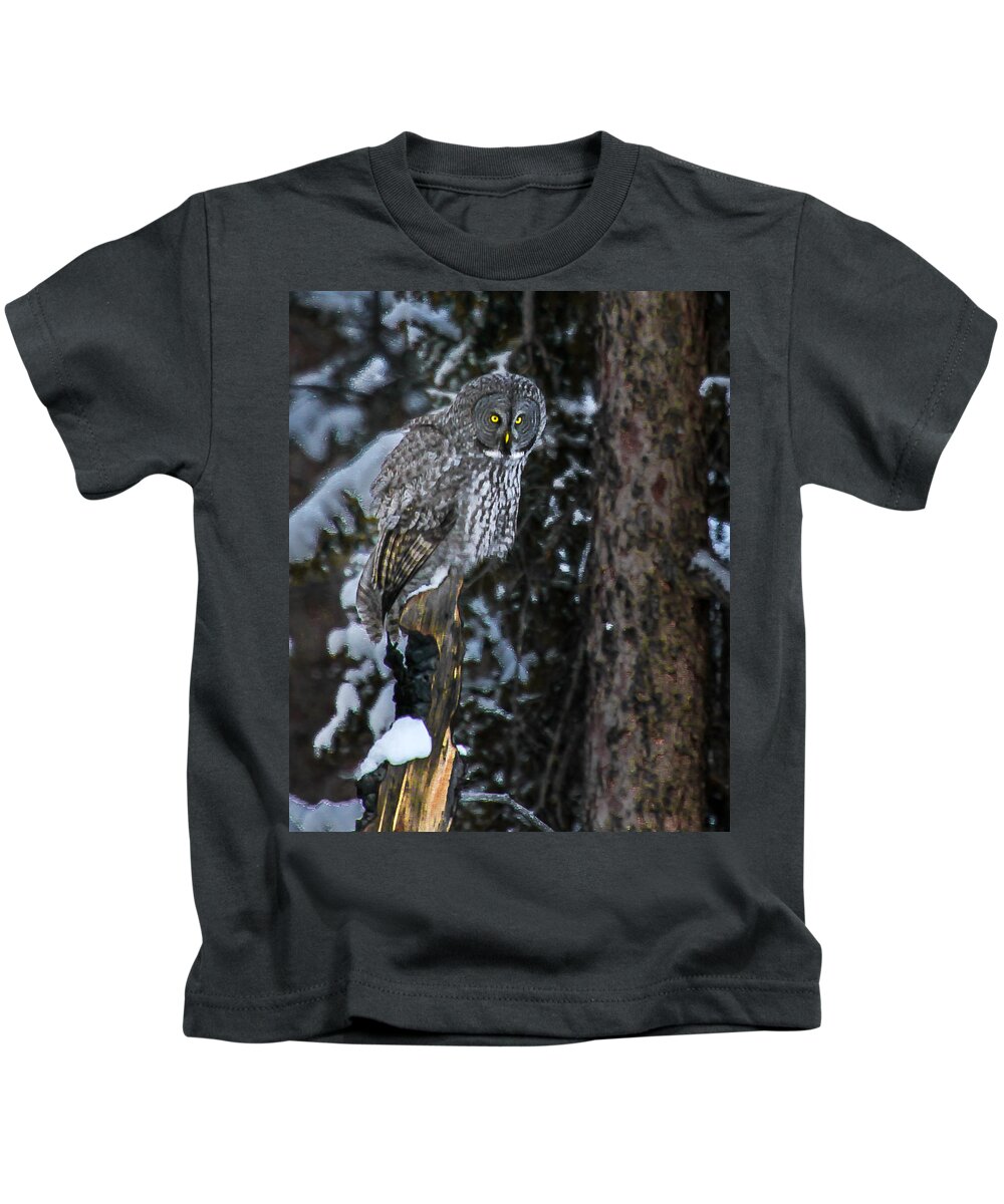  Kids T-Shirt featuring the photograph Great Grey by Kevin Dietrich