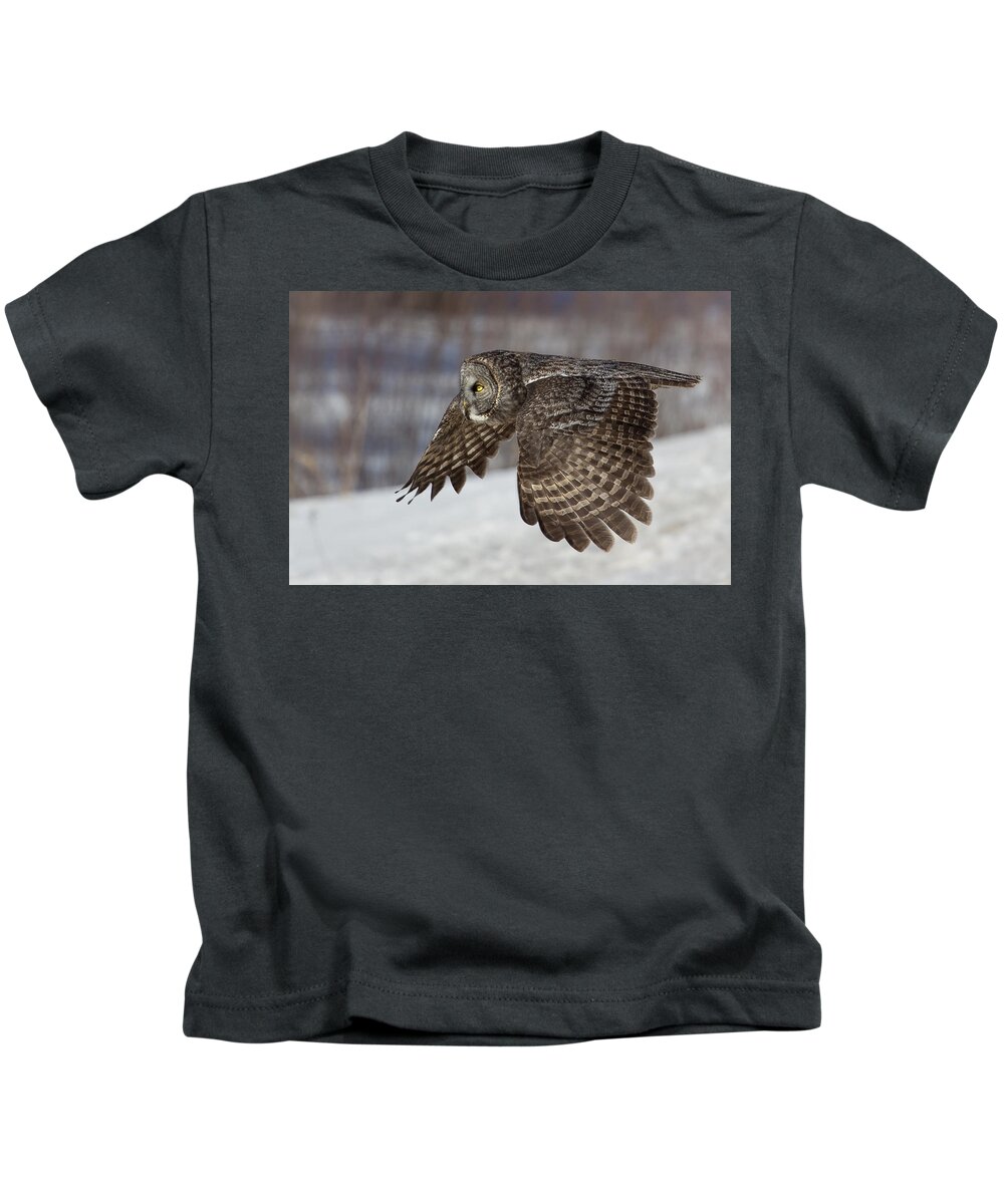 Animal Kids T-Shirt featuring the photograph Great Grey Owl in Flight by Jakub Sisak